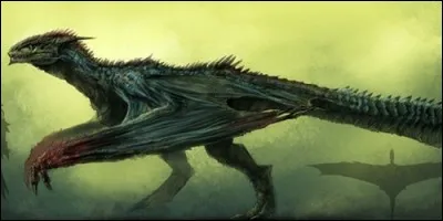 Qu'est-ce que ce dragon ?