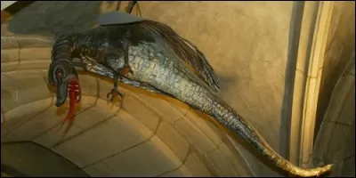 Dans quelle ville française parle-t-on du Graoully ?