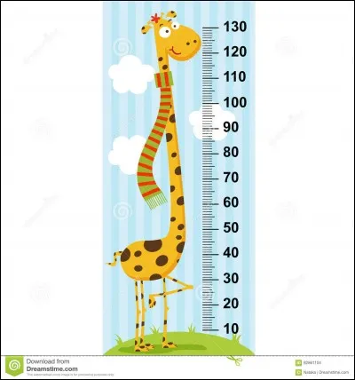 Quelle taille fait-il ?