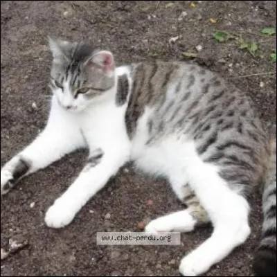 Elle est morte dans le cycle 2.