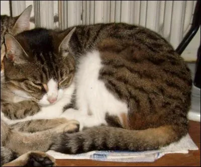 Une autre guérisseuse qui a beaucoup souffert, c'est...