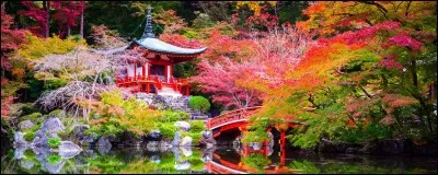 Quelle est la capitale du Japon ?