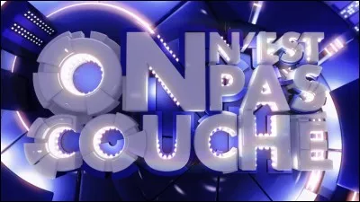 Quel animateur de France 2 pr&eacute;sente, le samedi soir, "On n'est pas couch&eacute;", avec Yann Moix et L&eacute;a Salam&eacute; ?