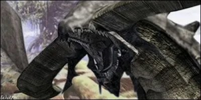 On rencontre Bahamut dans la mythologie :