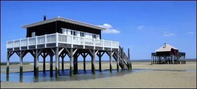 De quelle ville est extraite cette photo ?