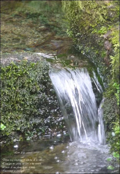 La réponse coule de source !