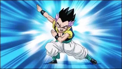 Fusion de Goten et de Trunks. Il a pour but de tuer Buu. Quel est son nom ?