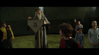 Qui meurt dans le labyrinthe dans ''Harry Potter et la Coupe de feu'' ?