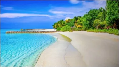 Lequel de ces candidats n'a pas vu arriver un de ses parents en épreuve de confort vers la fin de l'aventure ?