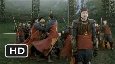 Comment Ron Weasley a-t-il obtenu le poste de gardien de l'équipe de quidditch ?