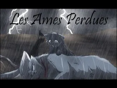 Comment Rivière d'Argent meurt-elle ?