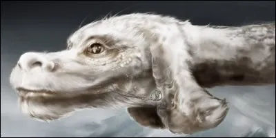 Fuchur est un personnage de "L'Histoire sans fin". Ce roman est d'origine :