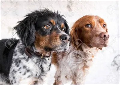 Es-tu assez bon dans le milieu pour connaître celui-ci ?