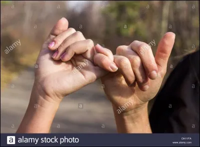 De qui te sens-tu le/la plus proche ?