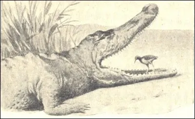 De quelle relation s'agit-il?