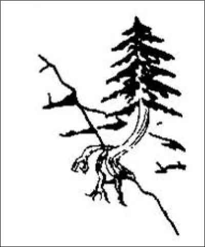 Quel est le nom du phénomène ?