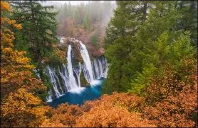 L'eau provient de sources souterraines sous ces roches volcaniques et alimente des chutes dont on attend un fort rugissement. La paroi est recouverte de mousse et les eaux claires et froides balaient les fougères. Le bassin est populaire pour la pèche à la mouche.