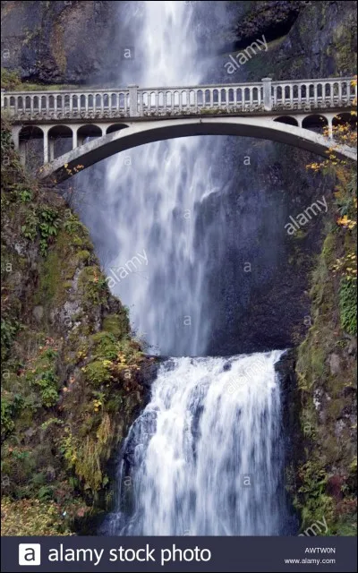 Plongeant dans la gorge de la Columbia, les eaux de cette chute à deux niveaux sont captivantes; un magnifique pont enjambe la puissante partie inférieure. 
Située beaucoup plus haute, la partie supérieure de cette chute, est plus fine et plus longue alors que, la partie inférieure est plus large et forte.