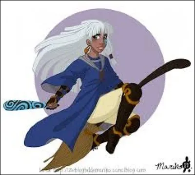 Qui joue au quidditch ?