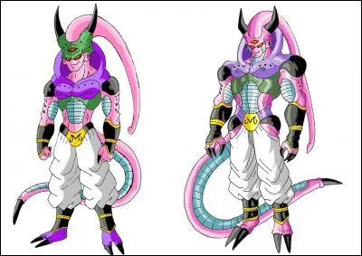 Quelle est cette fusion ?