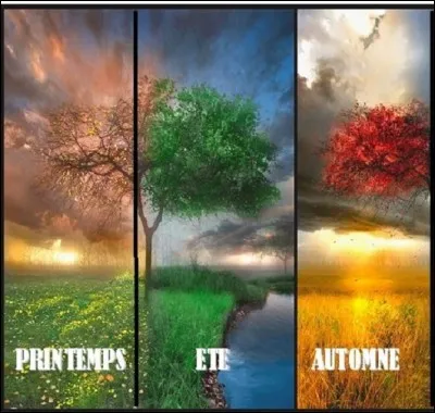 Le tournoi se déroule à quelle époque de l'année ?