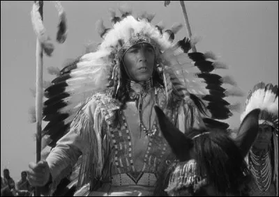 Quel chef indien a tué le général Custer dans "La Charge fantastique" ?