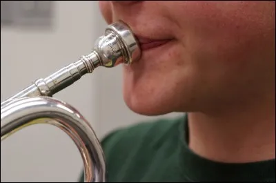 Quel sorte d'embouchure n'existe pas ?