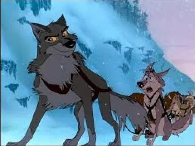 Celui-ci est un chien-loup facteur à la base, mais il a su se démarquer grâce à ses origines. Quel est son nom ?