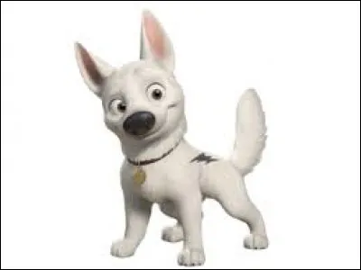 Passons à un petit chien "star". C'est un petit aventurier se prenant pour un héros, restant constamment méfiant, même lorsque les caméras ne tournent pas.