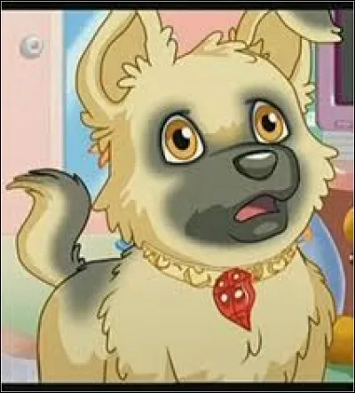 Voici un petit chiot adorable! Petit berger allemand, il est le meilleur ami de Flo, ainsi que l'un des personnages principaux de la série animée "Puppy in my Pocket".