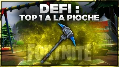 Quelle est ta pioche préférée ?