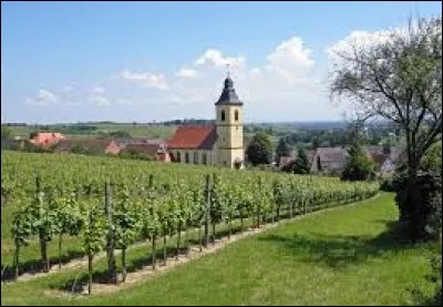 Nous partons à présent dans le Bas-Rhin, à Cleebourg. Village viticole, dans le parc naturel régional des Vosges du Nord, il se situe en région ...