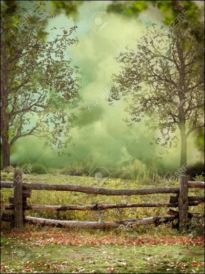 Comment Nuage de Feu a-t-il enfreint le code du guerrier ?