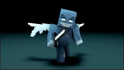 Quelle est cette entité ?