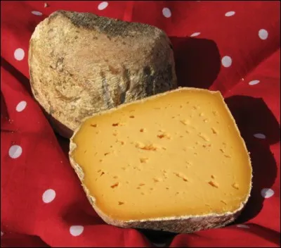 Quel est ce fromage ?