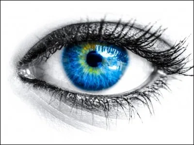 Quelle est la couleur de tes yeux ?