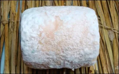 Quel est ce fromage ?