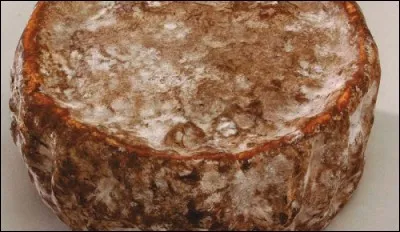 Quel est ce fromage ?