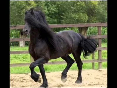 Il est obligatoire de porter quel objet quand on est à cheval ?