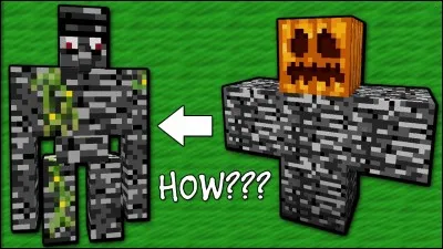 Comment s'appelle le bloc incassable de Minecraft ?