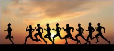 En éducation physique tu as le choix de faire un sport pour ton test. Lequel prends-tu ?