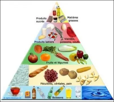 Que préfères-tu manger entre ces plats délicieux ?