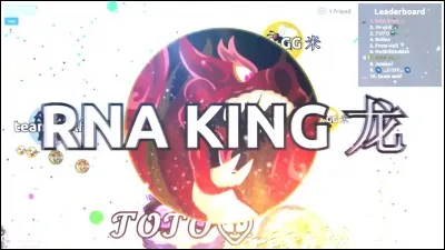 La for&ecirc;t-noire est le nom d'un g&acirc;teau.