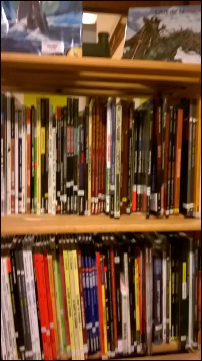 Les livres documentaires sont rangés...