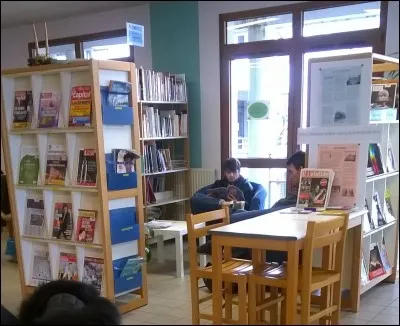 Quels autres noms donne-t-on aux revues et magazines ?