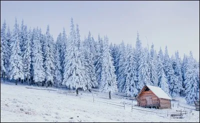 Hiver ou été ? Que préfères-tu ?
