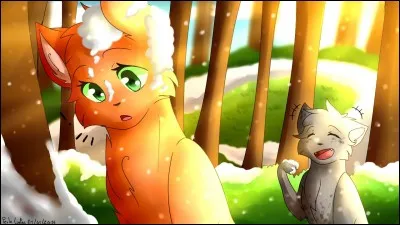 Au final, qui a volé le cur de Poil d'Écureuil ?