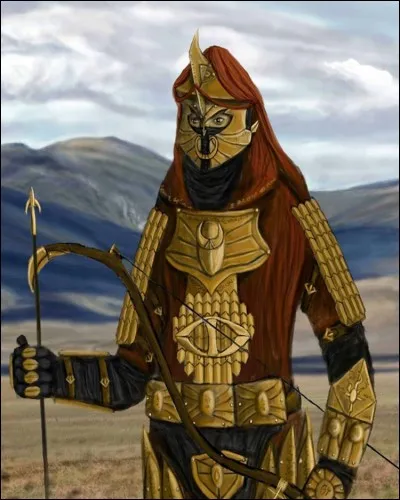 De quelle région sont issus les guerriers Variags ?