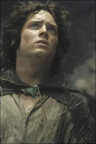 Où Frodon n'est-il pas allé ?