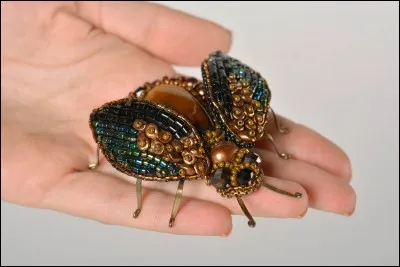 Aimes-tu sauver des insectes ?